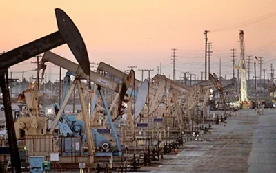 Crude oil futures trade marginally higher despite bearish US data