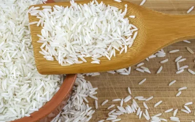 India’s NCEL to export 1,600 tonnes of white rice to Singapore